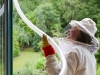 Absaugen der Flugtiere